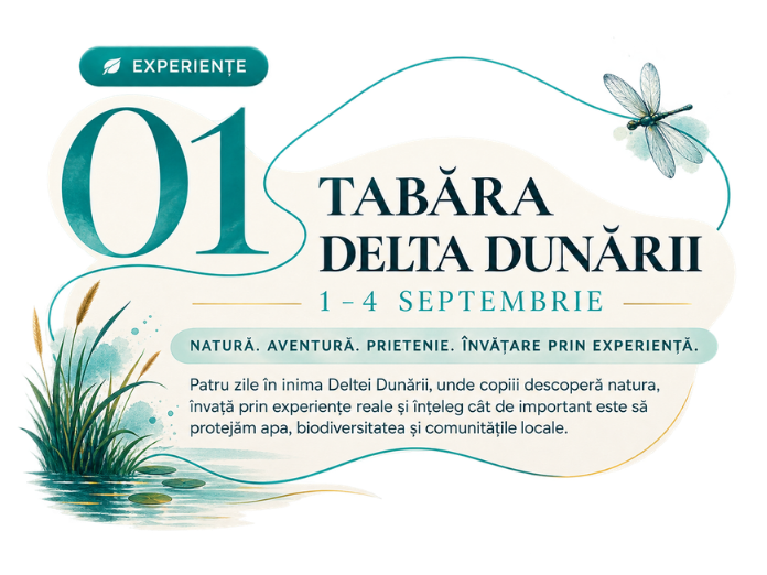 Experiența 01 — Tabăra Delta Dunării, 1–4 septembrie